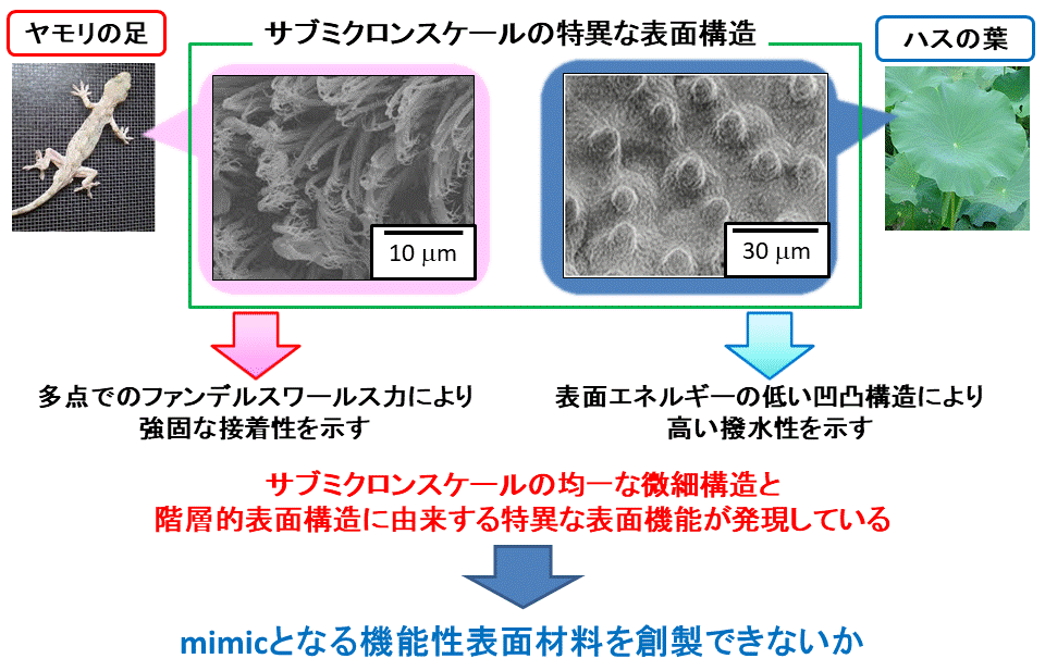 研究活動概要 - 精密有機材料学研究室